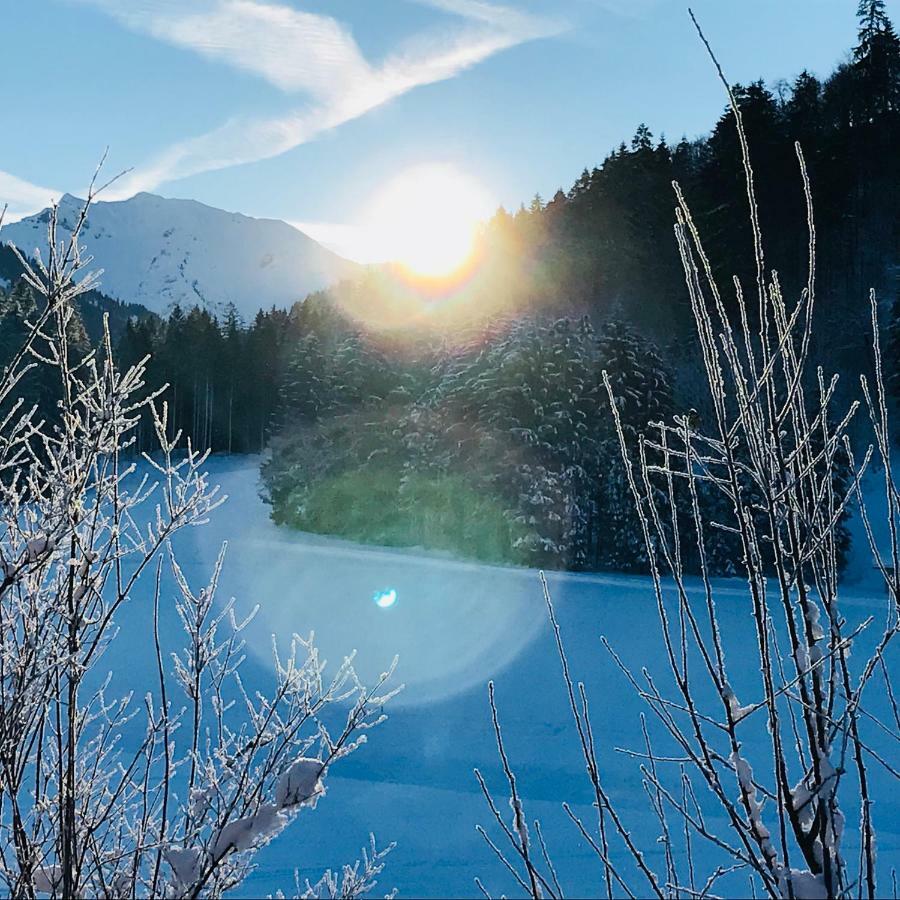 Au (Vorarlberg)Haus Stabentheinerアパートメント エクステリア 写真