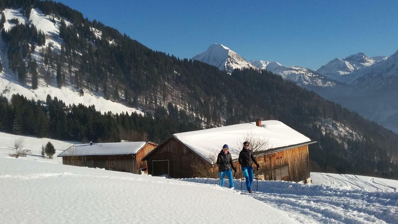 Au (Vorarlberg)Haus Stabentheinerアパートメント エクステリア 写真