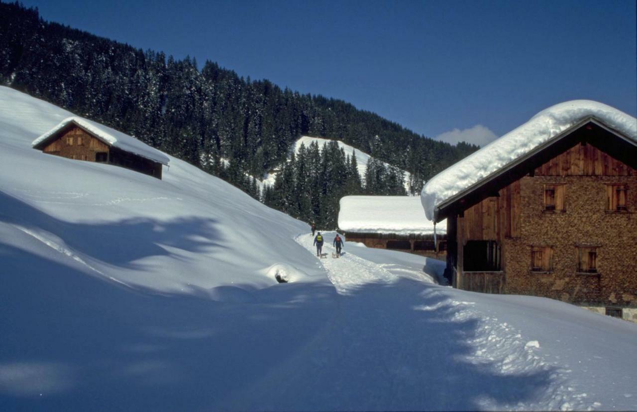 Au (Vorarlberg)Haus Stabentheinerアパートメント エクステリア 写真