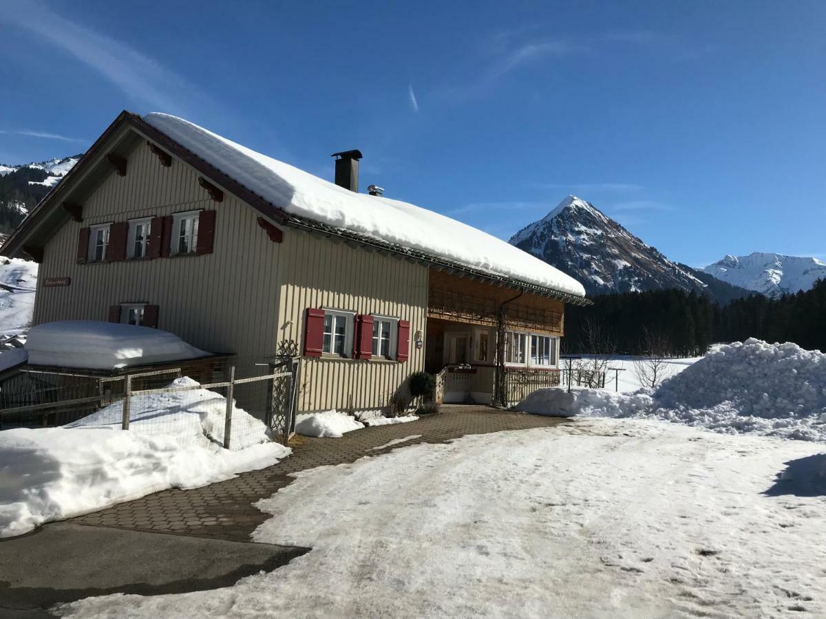 Au (Vorarlberg)Haus Stabentheinerアパートメント エクステリア 写真