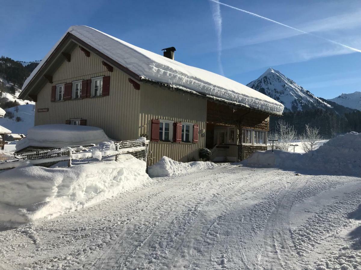 Au (Vorarlberg)Haus Stabentheinerアパートメント エクステリア 写真