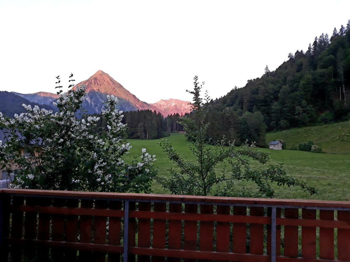Au (Vorarlberg)Haus Stabentheinerアパートメント エクステリア 写真